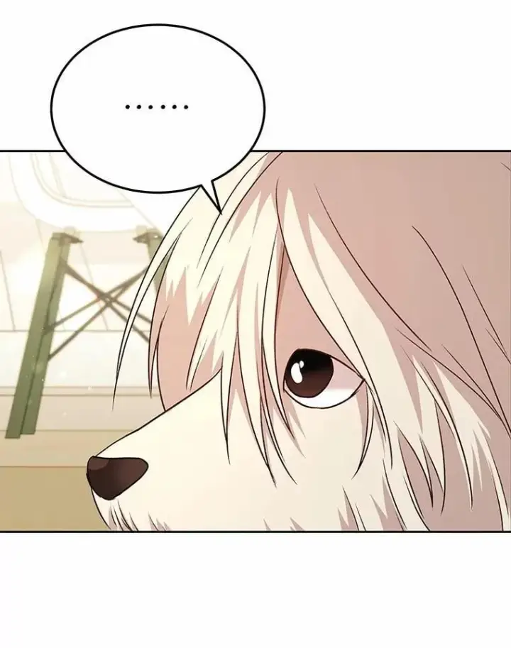 漫画《兽医先生！你好？》56.你好？兽医先生！第101张图
