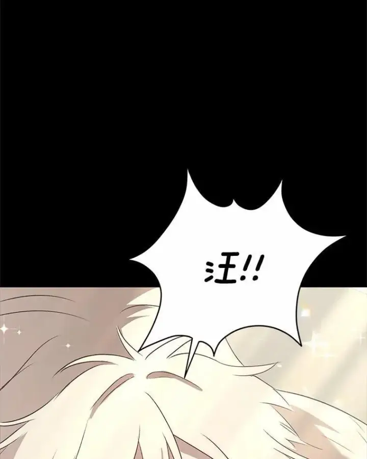 漫画《兽医先生！你好？》56.你好？兽医先生！第13张图