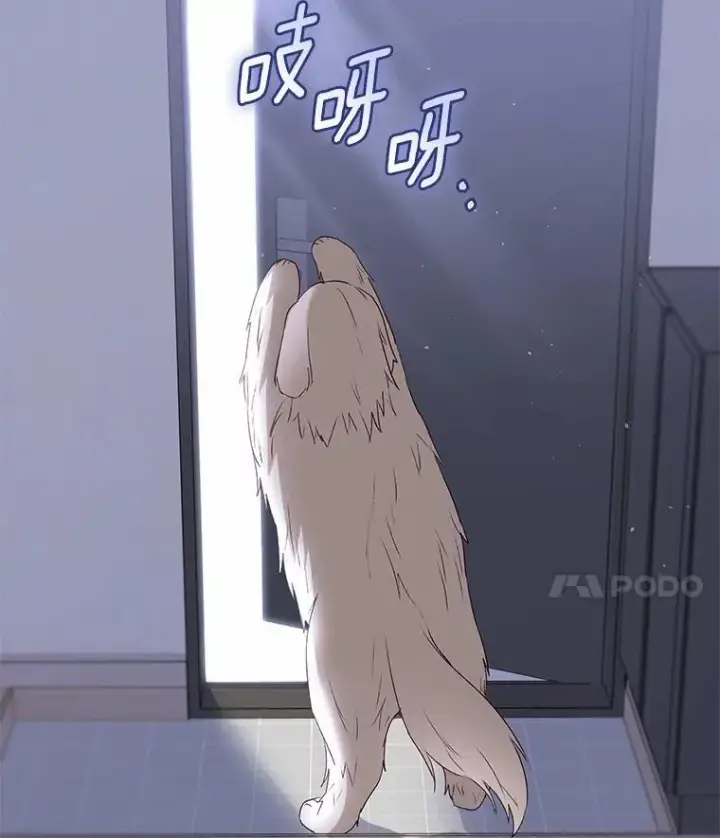 漫画《兽医先生！你好？》56.你好？兽医先生！第137张图