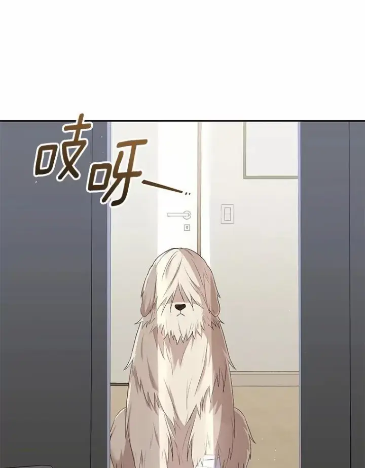 漫画《兽医先生！你好？》56.你好？兽医先生！第42张图