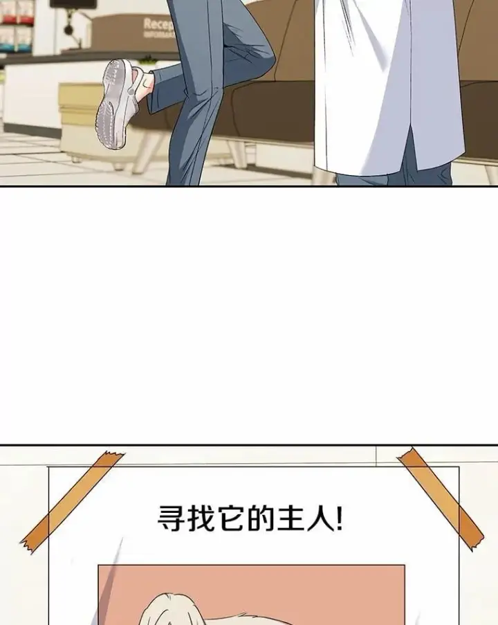 漫画《兽医先生！你好？》56.你好？兽医先生！第47张图