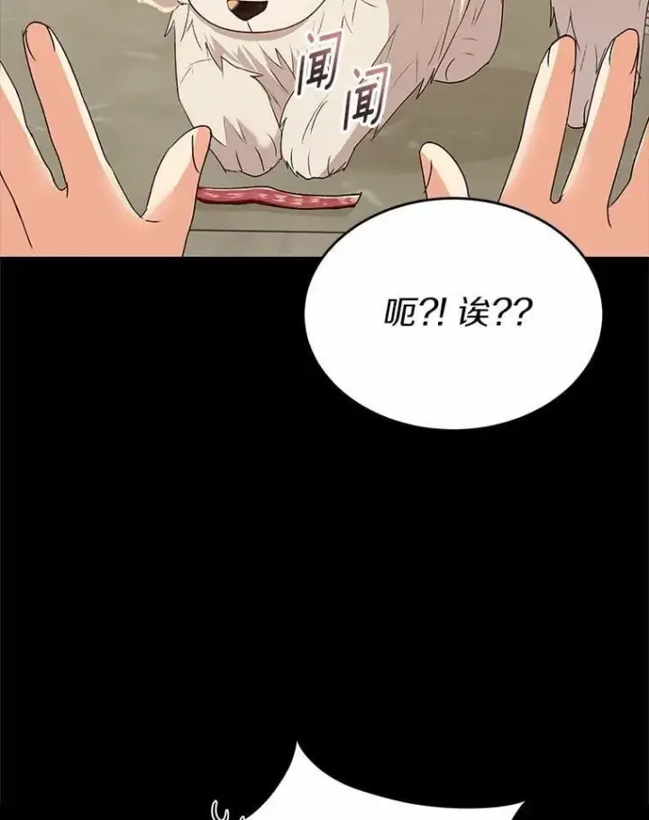 漫画《兽医先生！你好？》56.你好？兽医先生！第5张图