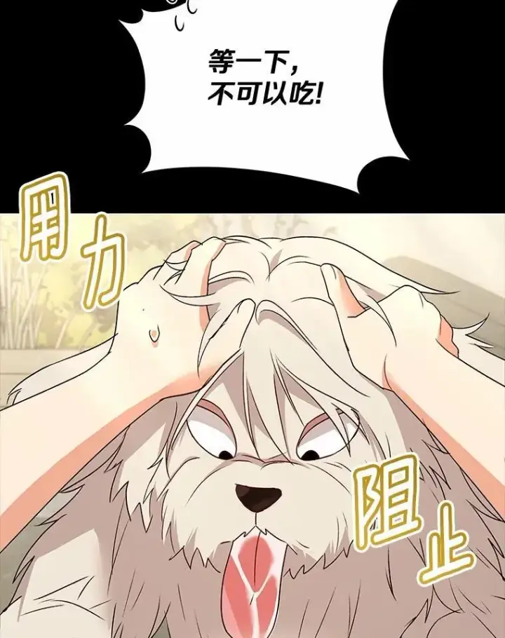 漫画《兽医先生！你好？》56.你好？兽医先生！第6张图