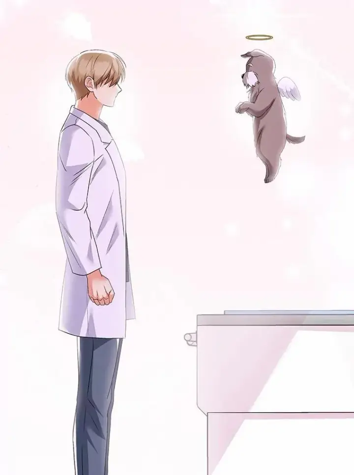 漫画《兽医先生！你好？》56.你好？兽医先生！第67张图