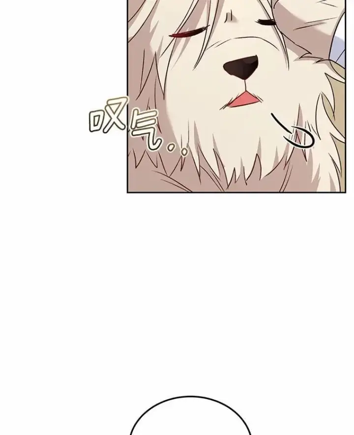 漫画《兽医先生！你好？》56.你好？兽医先生！第87张图