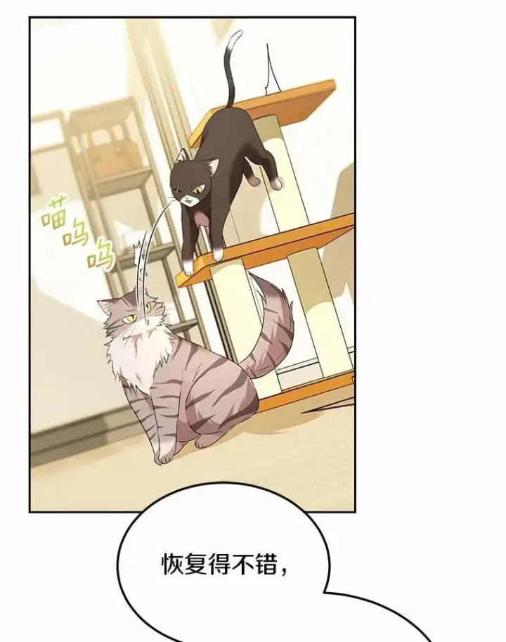 漫画《兽医先生！你好？》56.你好？兽医先生！第94张图