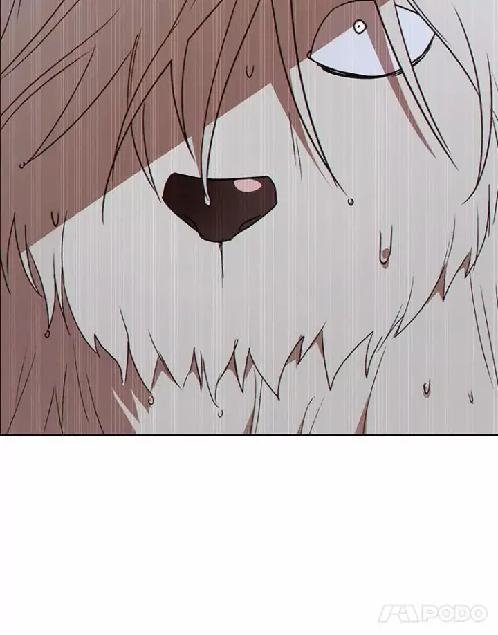漫画《兽医先生！你好？》57.小古历险记（1）第101张图