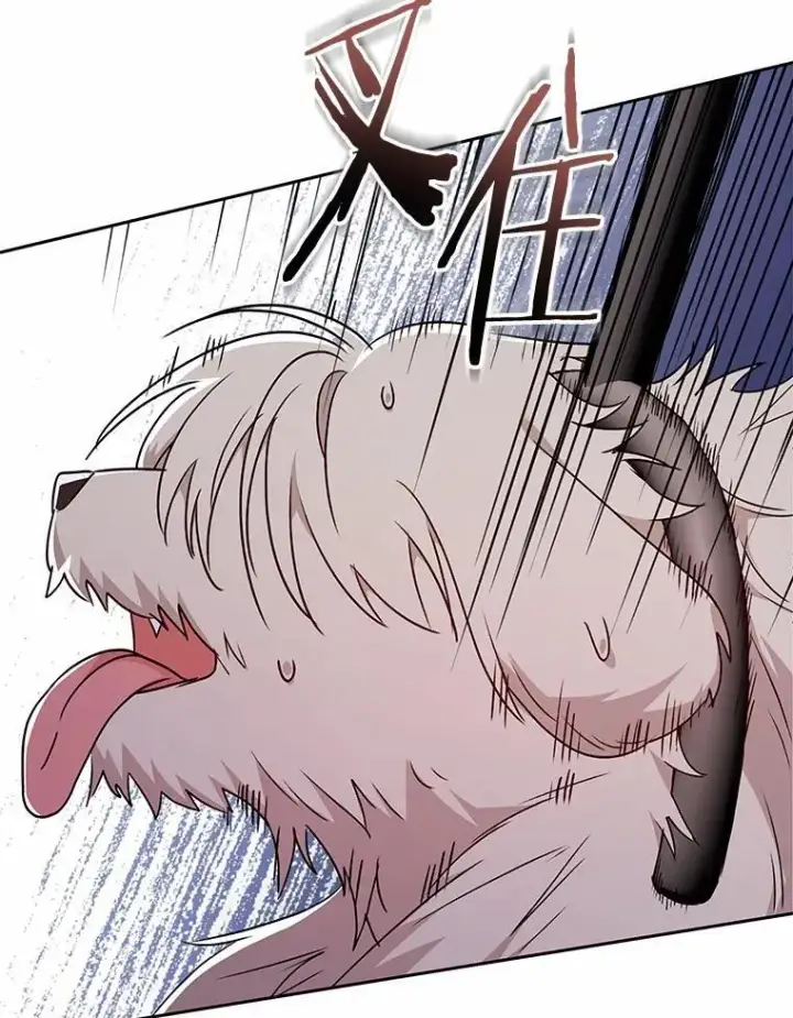 漫画《兽医先生！你好？》57.小古历险记（1）第110张图