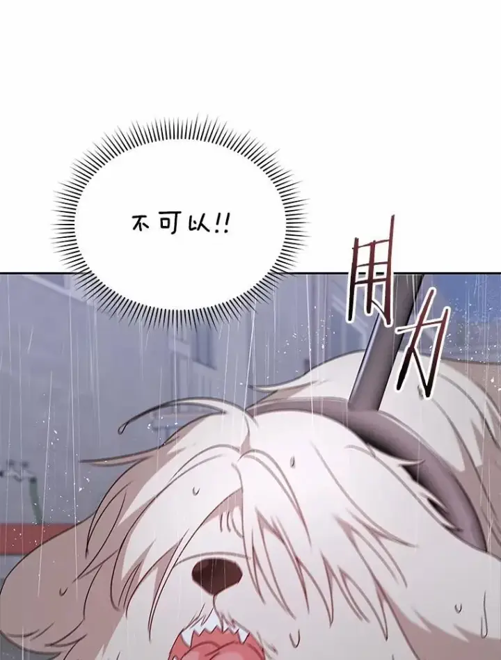漫画《兽医先生！你好？》57.小古历险记（1）第117张图