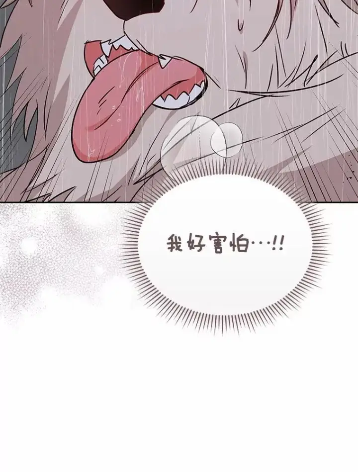 漫画《兽医先生！你好？》57.小古历险记（1）第120张图