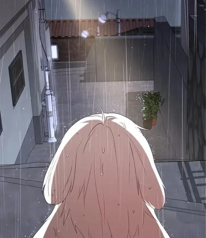 漫画《兽医先生！你好？》57.小古历险记（1）第16张图