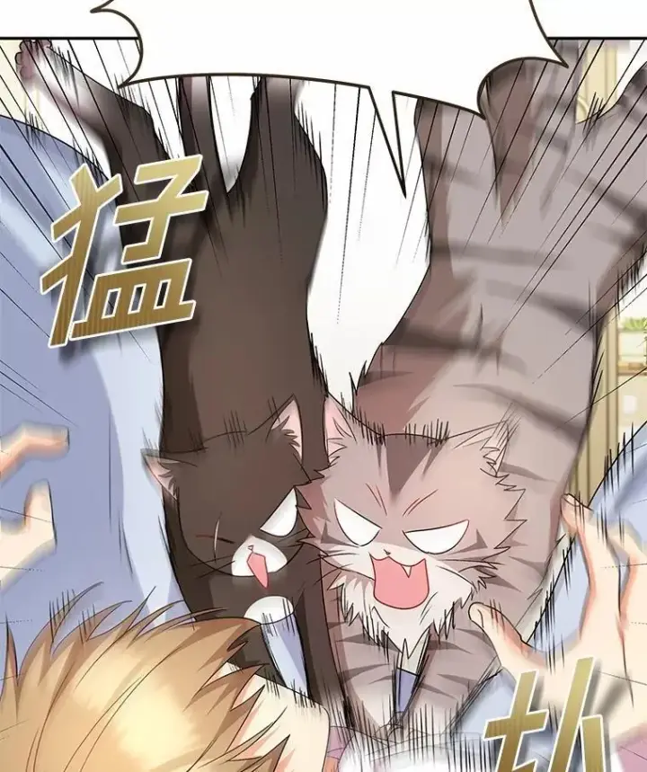 漫画《兽医先生！你好？》57.小古历险记（1）第28张图