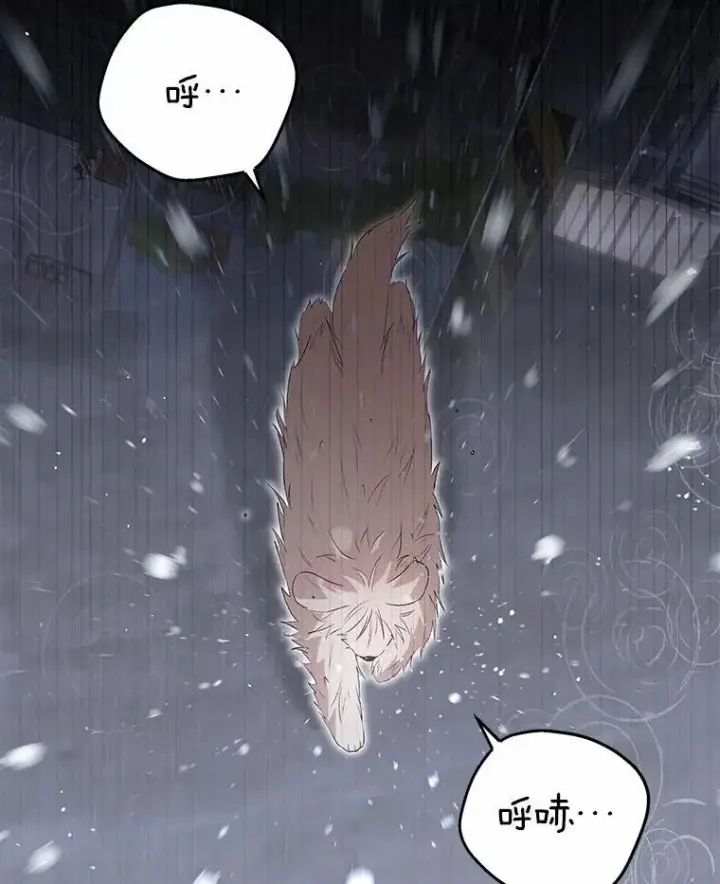 漫画《兽医先生！你好？》57.小古历险记（1）第3张图