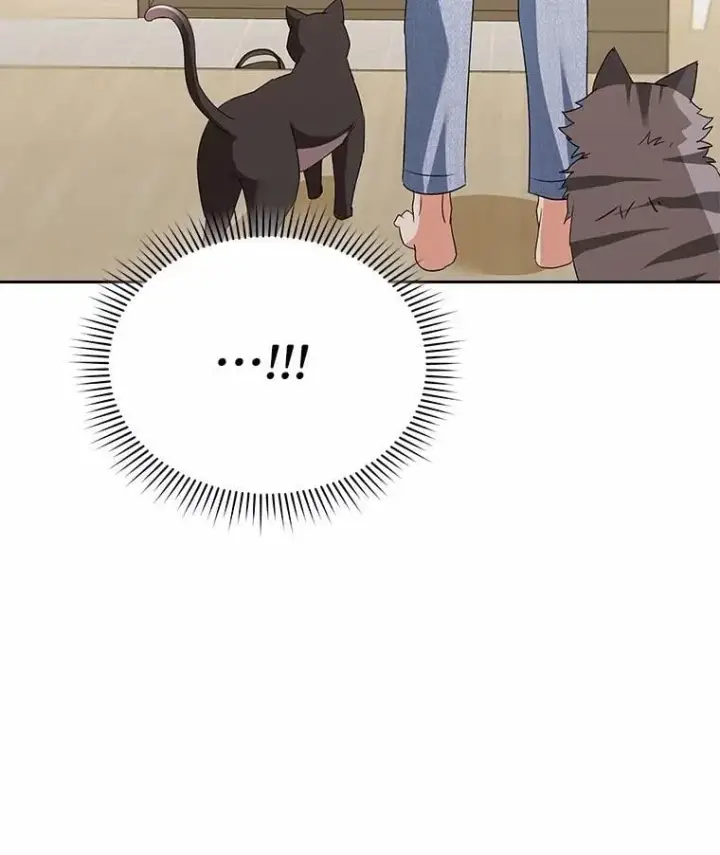 漫画《兽医先生！你好？》57.小古历险记（1）第48张图