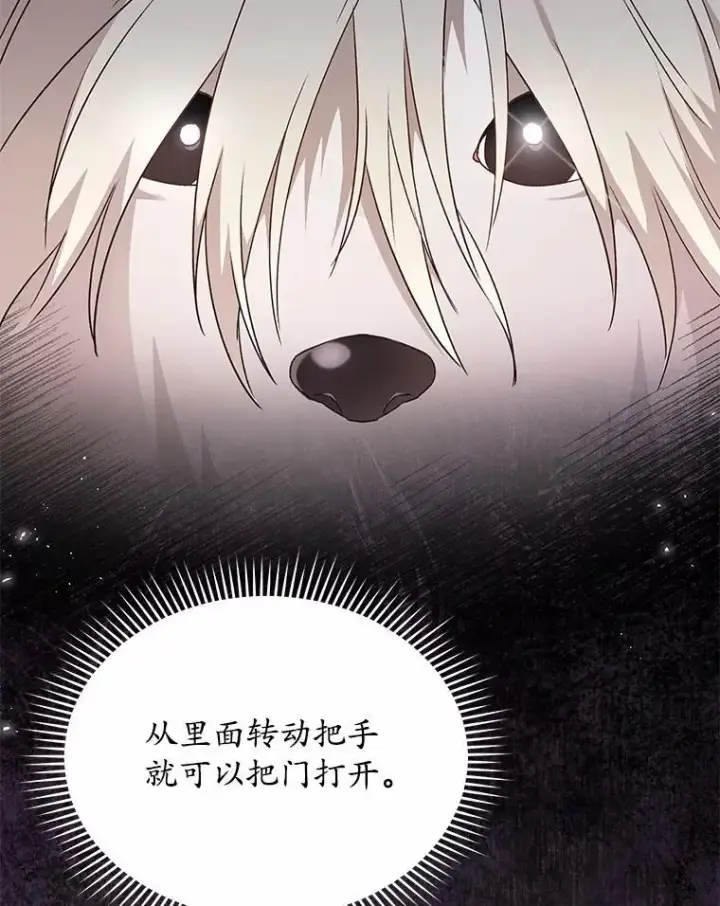 漫画《兽医先生！你好？》57.小古历险记（1）第53张图