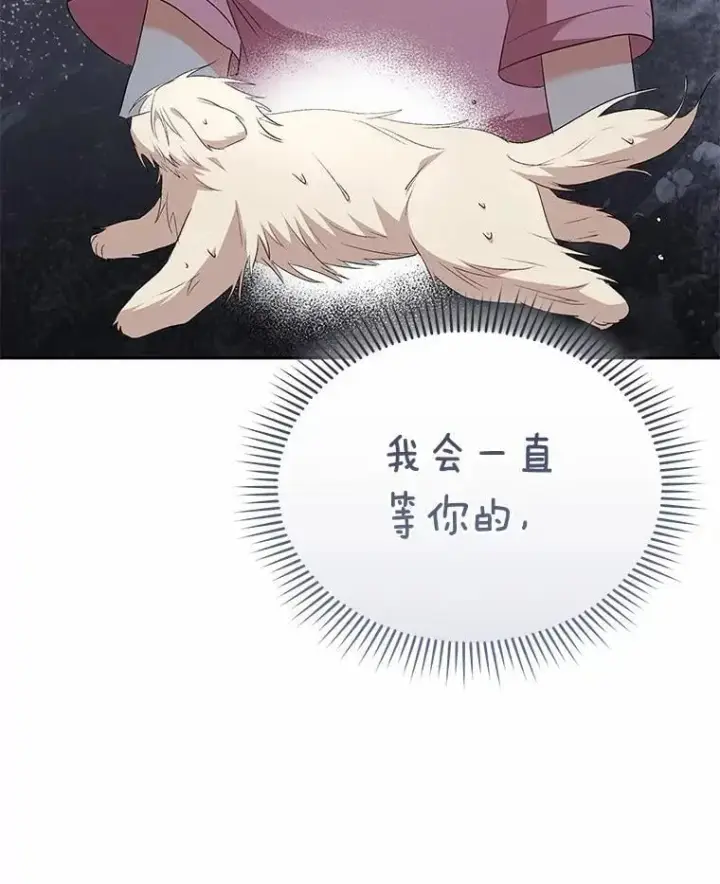 漫画《兽医先生！你好？》57.小古历险记（1）第6张图