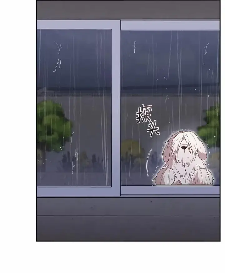 漫画《兽医先生！你好？》57.小古历险记（1）第85张图