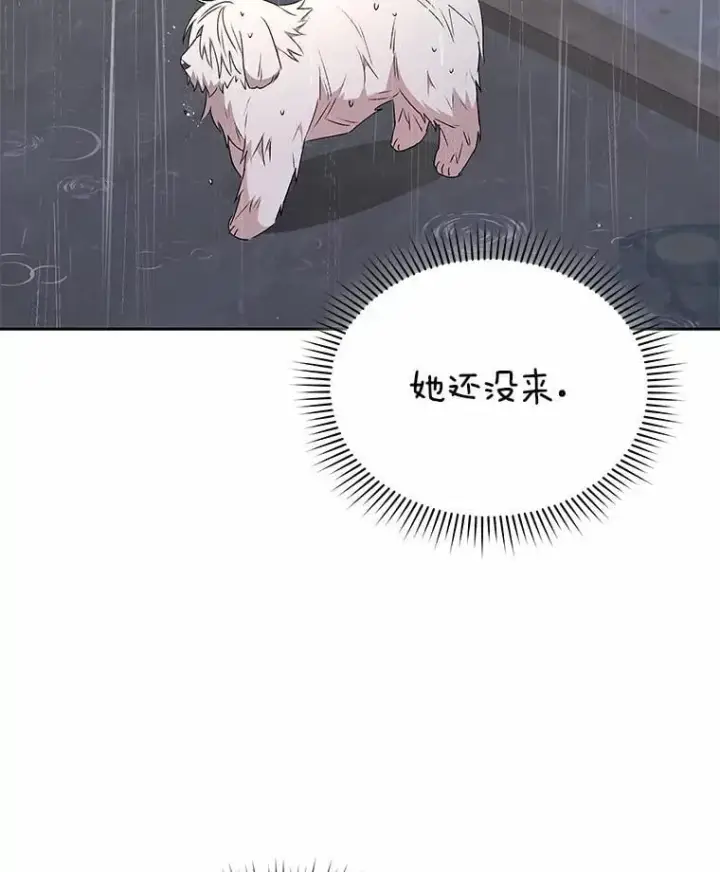 漫画《兽医先生！你好？》57.小古历险记（1）第87张图