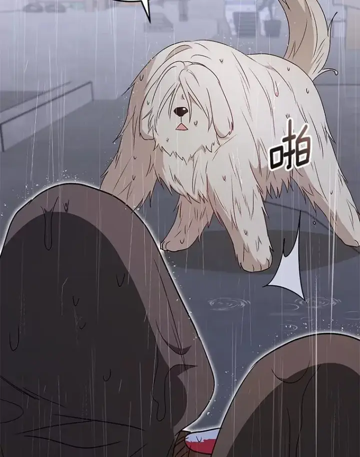 漫画《兽医先生！你好？》57.小古历险记（1）第96张图