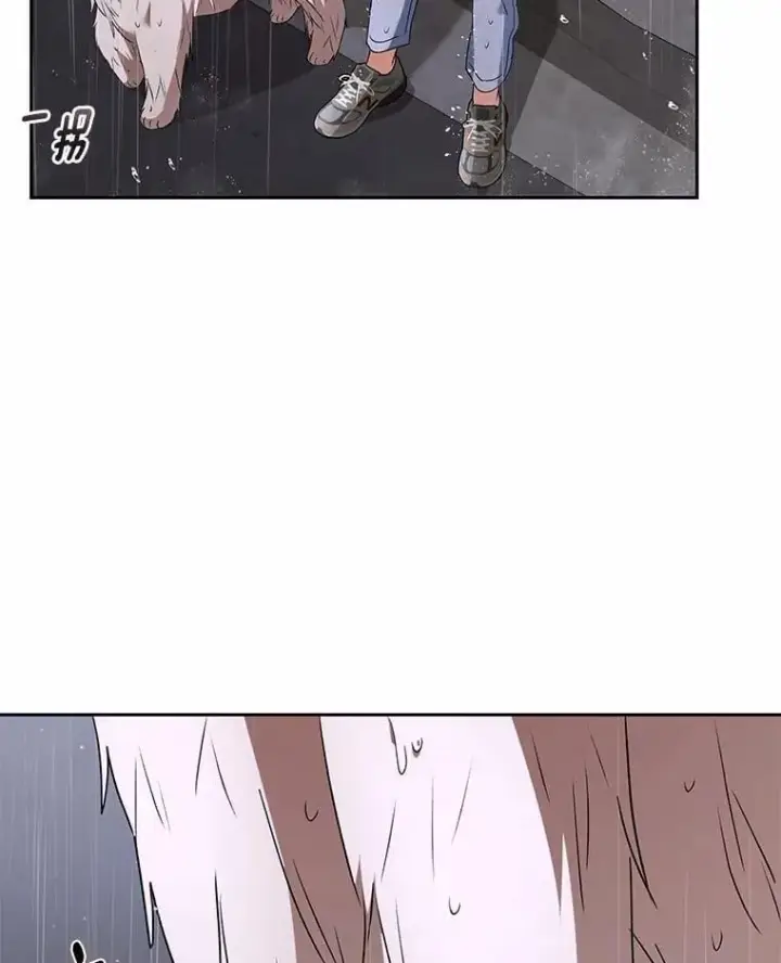 漫画《兽医先生！你好？》58.小古历险记（2）第110张图