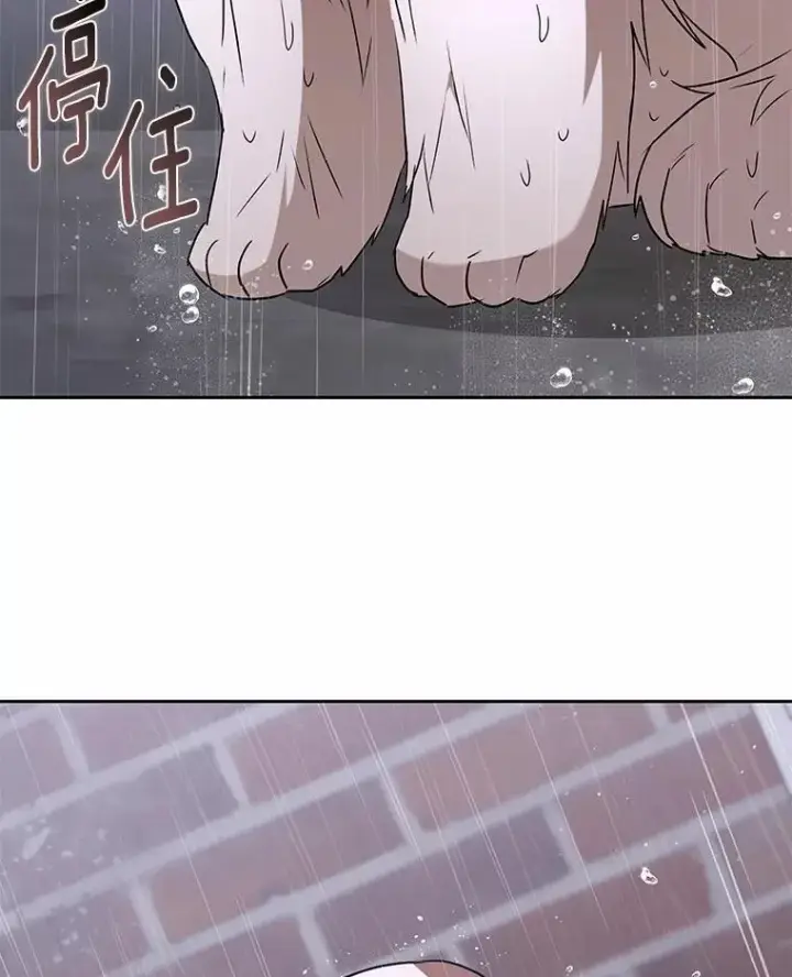 漫画《兽医先生！你好？》58.小古历险记（2）第111张图