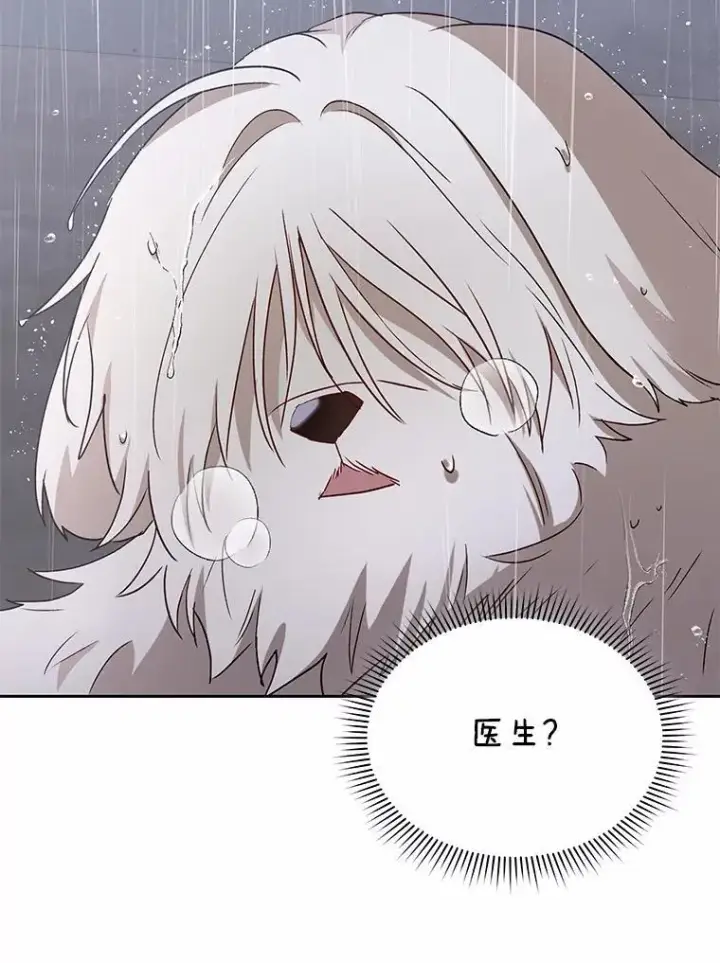 漫画《兽医先生！你好？》58.小古历险记（2）第17张图