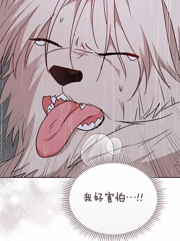 漫画《兽医先生！你好？》58.小古历险记（2）第2张图