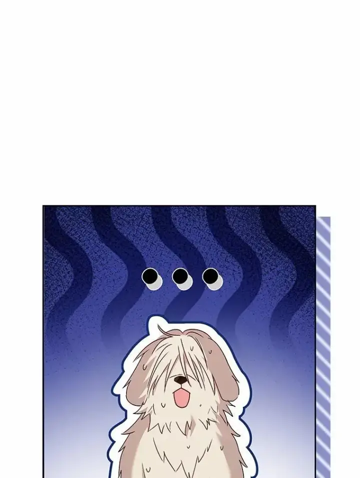 漫画《兽医先生！你好？》58.小古历险记（2）第24张图