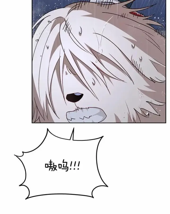 漫画《兽医先生！你好？》58.小古历险记（2）第35张图