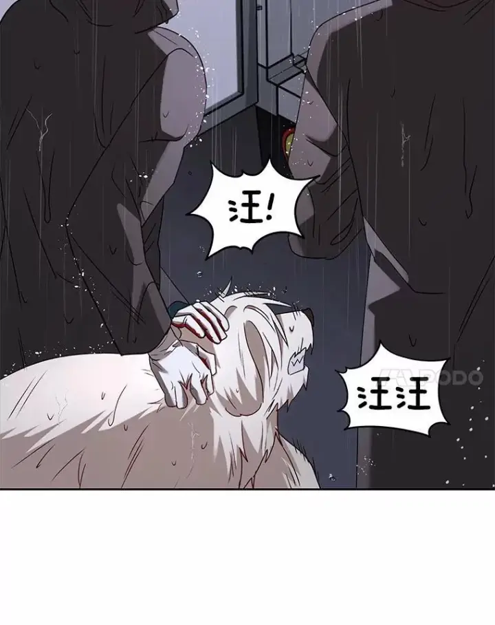 漫画《兽医先生！你好？》58.小古历险记（2）第37张图