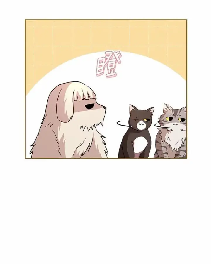 《兽医先生！你好？》60.我的哥哥（1）图12
