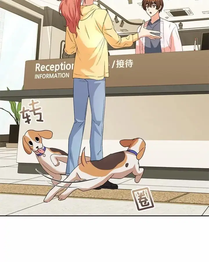 《兽医先生！你好？》60.我的哥哥（1）图81