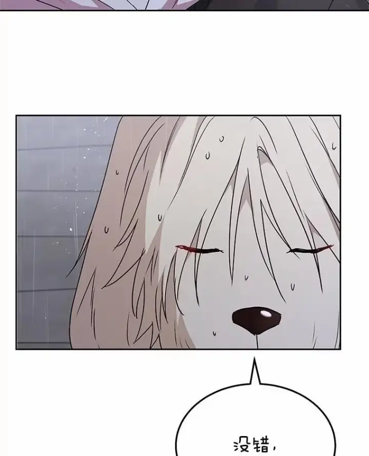 漫画《兽医先生！你好？》59.我们回家吧第115张图