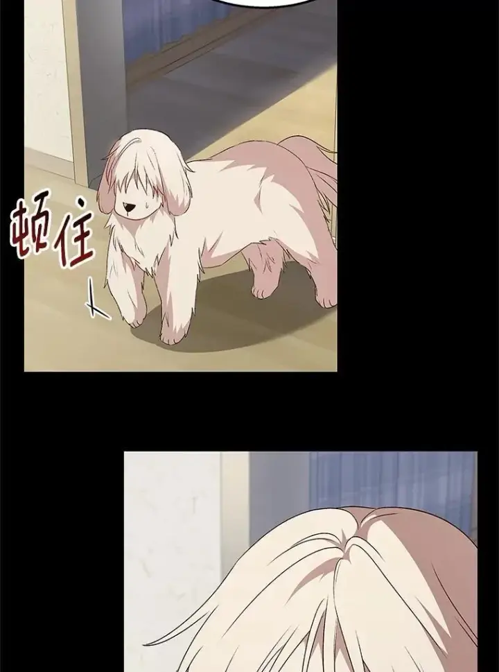 漫画《兽医先生！你好？》59.我们回家吧第23张图