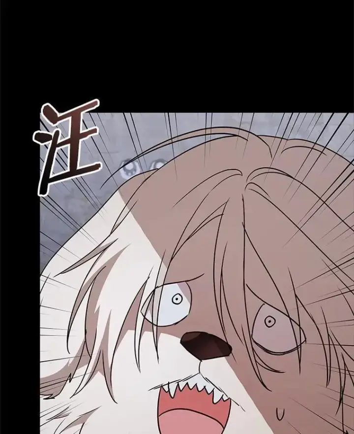 漫画《兽医先生！你好？》59.我们回家吧第37张图