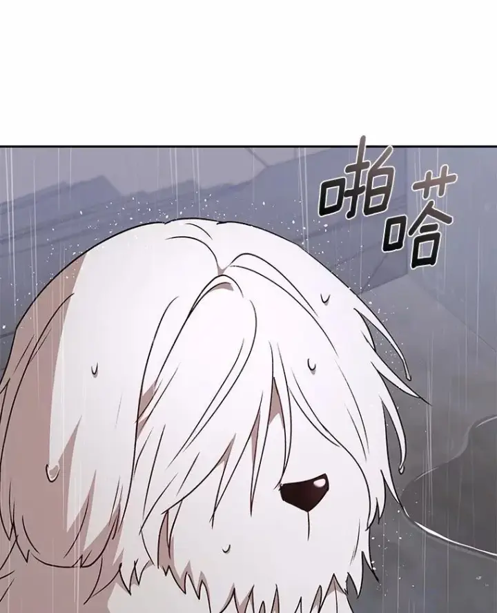 漫画《兽医先生！你好？》59.我们回家吧第73张图