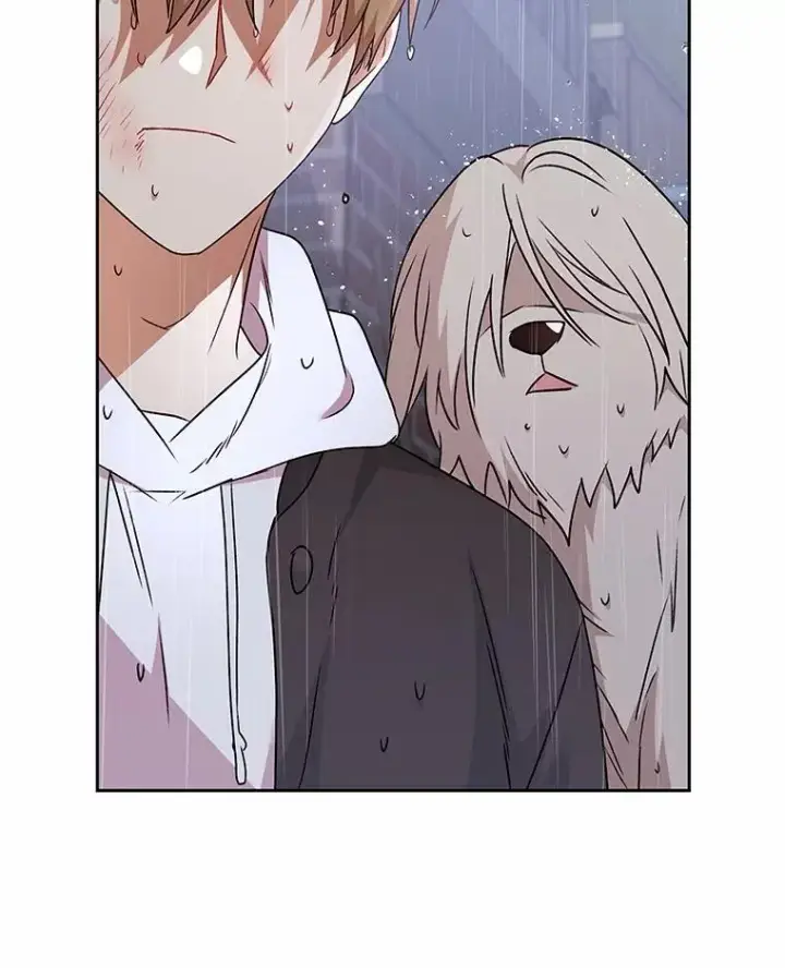 漫画《兽医先生！你好？》59.我们回家吧第83张图