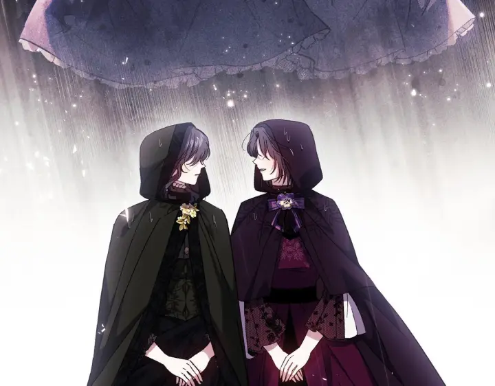 漫画《双胞胎姐姐不再相信他人》第36话 双胞胎的差异第81张图