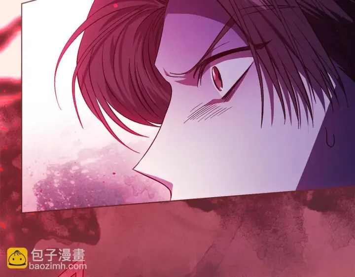 漫画《双胞胎姐姐不再相信他人》第79话 家人的保护第99张图