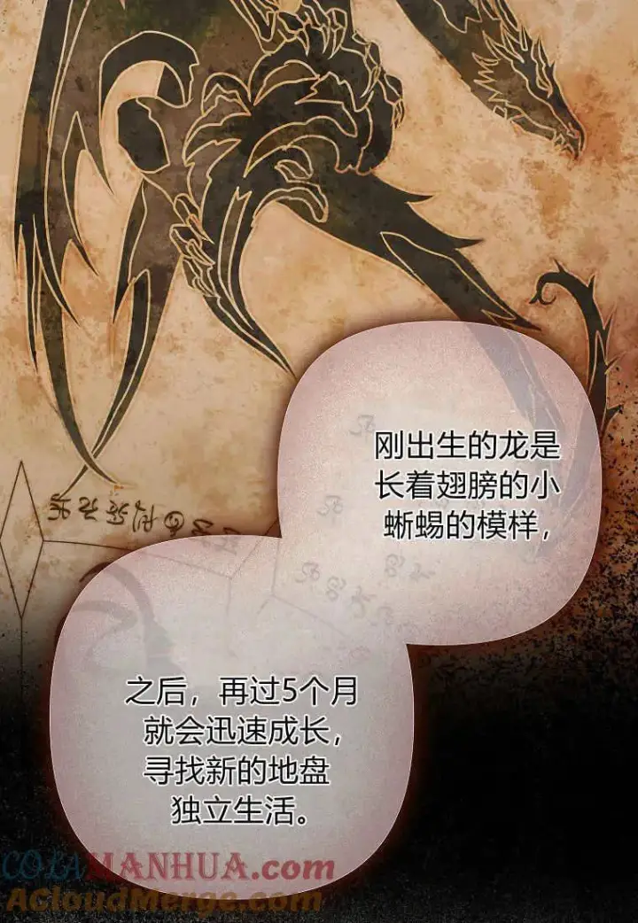 漫画《死的是我, 勇士却疯了》第07话第22张图
