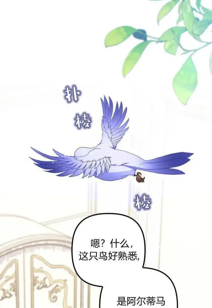 《死的是我, 勇士却疯了》第31话图15