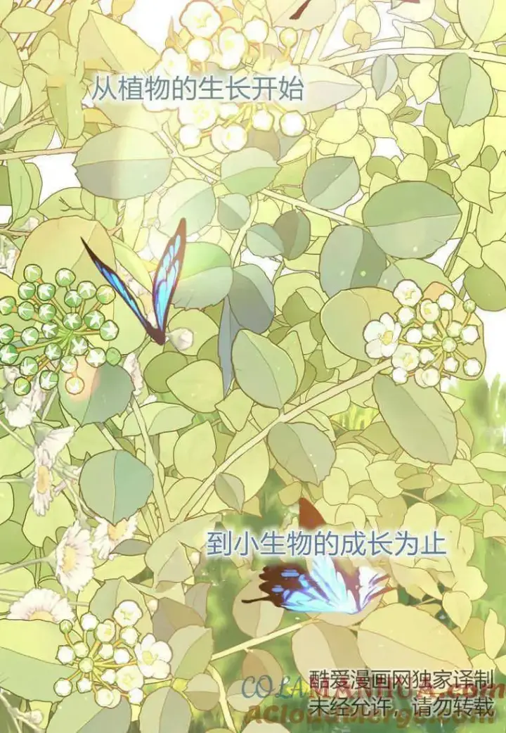 《死的是我, 勇士却疯了》第35话图25