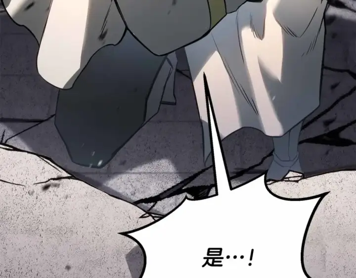 漫画《死灵法师：重生的我全技能精通》第86话 四大皇族vs无翼第167张图