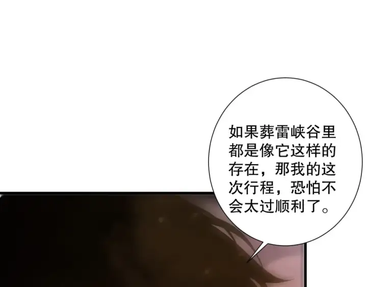 《死灵法师！我即是天灾》第222话  雷光神兽图12