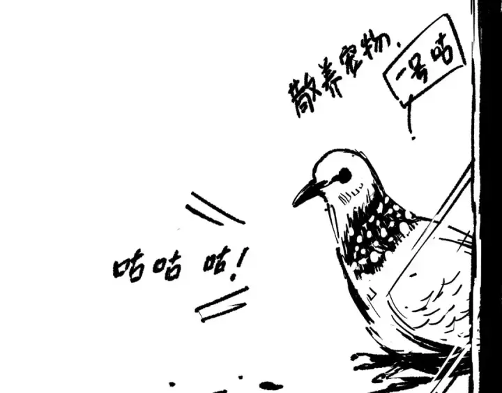 《死灵法师！我即是天灾》第222话  雷光神兽图157