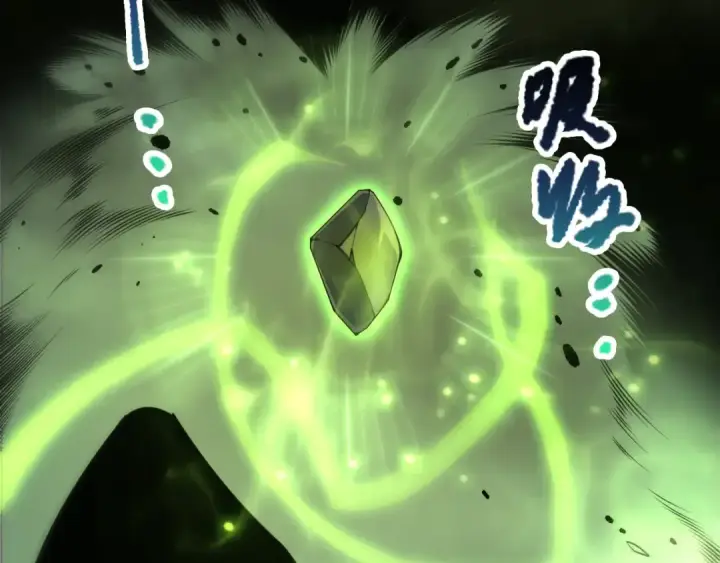 《死灵法师！我即是天灾》第222话  雷光神兽图82