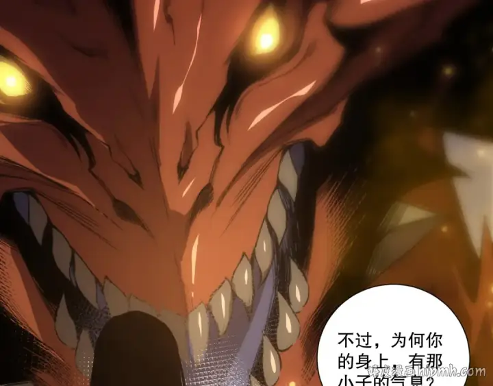 《死灵法师！我即是天灾》第247话 无双骷髅王首战图152