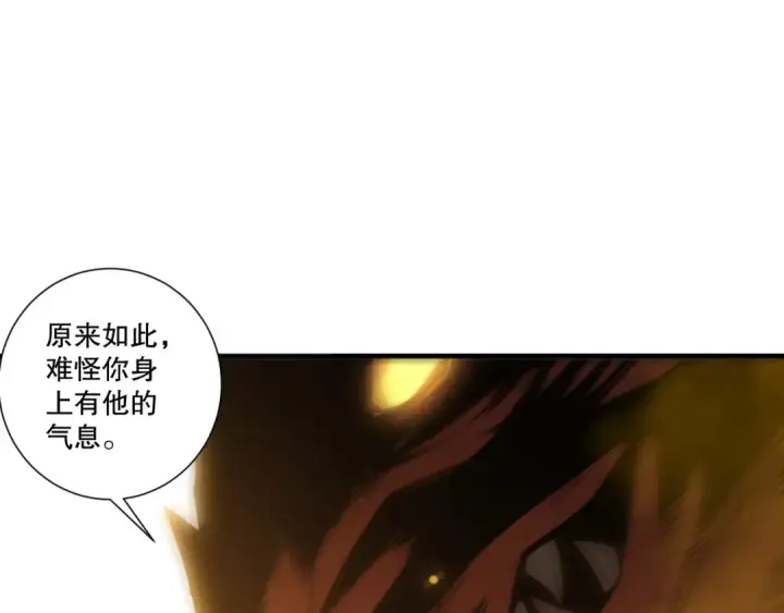 《死灵法师！我即是天灾》第248话  覆盖整个帝国的大阵图12