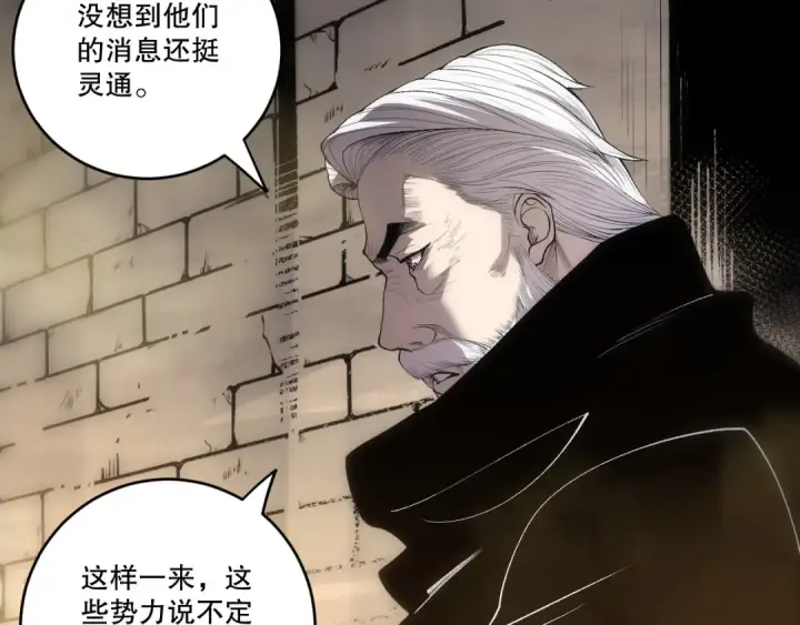《死灵法师！我即是天灾》第248话  覆盖整个帝国的大阵图95