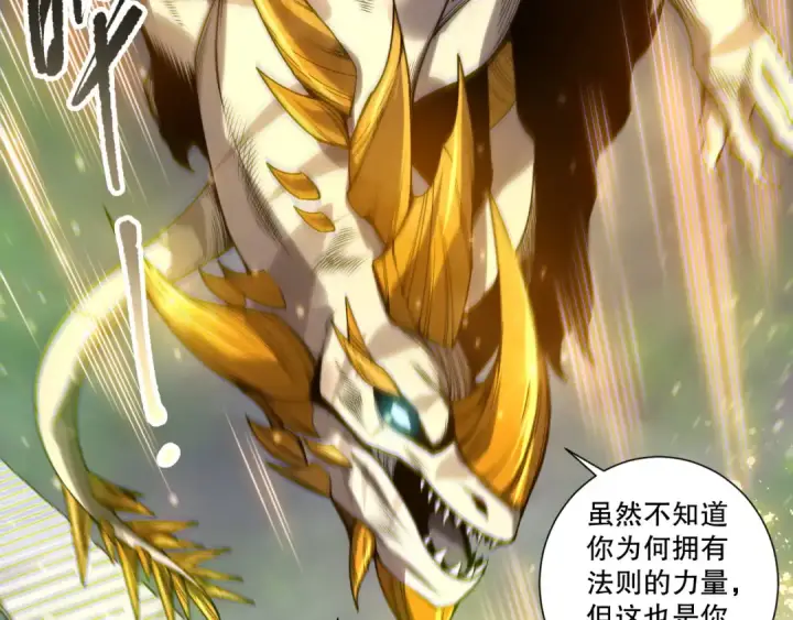 《死灵法师！我即是天灾》第260话 东方神龙图18